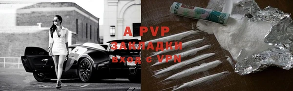 ГАЛЛЮЦИНОГЕННЫЕ ГРИБЫ Новозыбков