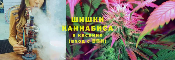 ГАЛЛЮЦИНОГЕННЫЕ ГРИБЫ Новозыбков