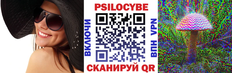 Купить закладки  Нальчик  Галлюциногенные грибы Psilocybine cubensis 